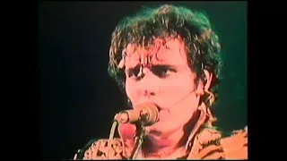 Thumbnail: Adam and the Ants - Dog Eat Dog (Live in Manchester Remastered)