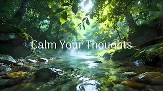 Thumbnail: 🍃 Beautiful Relaxing Music Stress Relief - Soothing Nature to Stop Overthinking & Anxiety 🍃