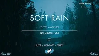 Thumbnail: Soft Rain On A Misty Forest Road | No Ads | Soothing Rain Sounds For Sleeping