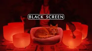 Thumbnail: **RED LIGHT THERAPY**  Rejuvenating Sleep Music (Black Screen)