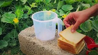 Thumbnail: Don't Throw Away Expired Bread Until You See What It Does for Your Garden!