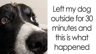 Thumbnail: Animal Photos Are Adorable Enough To Make You Forget The Ills Of The World For A Bit