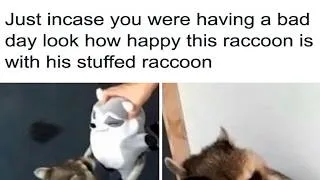 Thumbnail: Animal Pics That Fit Perfectly Into Memes