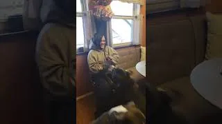 Thumbnail: Dog reacts to owner that was away for 105 days! 😭❤️