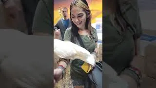 Thumbnail: Part 1 of our Epic Quest tour holding and feeding animals!