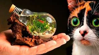 Thumbnail: I CREATED AN AQUATIC TERRARIUM WITH AN ANIMAL INSIDE A LIGHT BULB