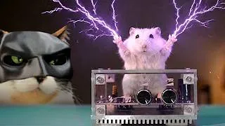 Thumbnail: EXPERIMENTS WITH ELECTRICITY THAT YOU MUST NOT TRY AT HOME