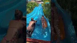 Thumbnail: Top 10 Best Waterpark Fails 