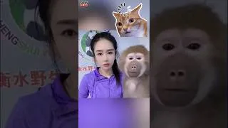 Thumbnail: This Monkey is Confused Upon Seeing Its Owner! #Shorts #Comedy #USA