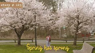 Thumbnail: Slow and Quiet Spring Days | Prepping for the Balcony Garden | Relaxing Slow Living Silent Vlog