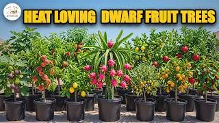 Thumbnail: 15 Container Dwarf Fruit Trees That Thrive In Extreme Summer Heat
