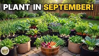 Thumbnail: 15 Container Vegetables You'll DEEPLY Regret Not Planting in September