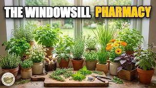 Thumbnail: 15 Forgotten Healing Herbs To Grow On Your Windowsill