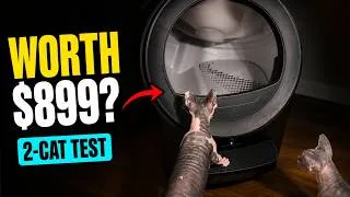 Thumbnail: Unboxing the Litter Robot 5 Pro: A Cat's Perspective