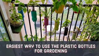 Thumbnail: Use plastic bottles for gardening | Reuse plastic bottle | Best out of waste