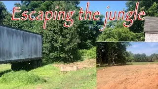 Thumbnail: Cleaning up the jungle!