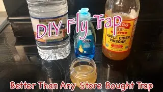 Thumbnail: The Easiest Way To Get Rid Of Fruit Flies!￼