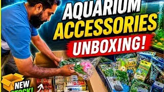 Thumbnail: 🔥 Massive Aquarium Accessories Unboxing | New Aquarium Stock 2026 | Smart Aquarium Karad