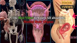 Thumbnail: Secrets of Your Body Revealed in 8 Minutes 🔍 [It Will Change Your Life] 🌟