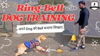 Thumbnail: How to train your Dog to Ring Bell for Food & to go outside for Potty || Smart Dogs Training Hindi
