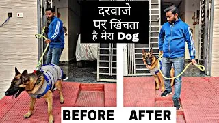Thumbnail: Dog Training: How to train your Dog Door Manners 🚪 🦮 (Stop Dog Leash Pulling in hindi)
