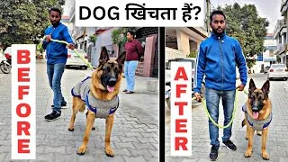 Thumbnail: Stop Dog Leash Pulling in 3 Days !! 100% Results