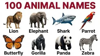 Thumbnail: 100 Animal Names in English 🦁 | The Ultimate Vocabulary Guide