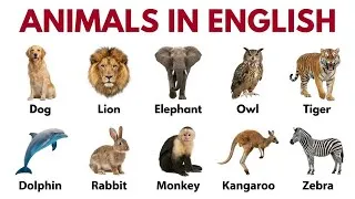 Thumbnail: Master Animal Names in English: 27 Essential Words You Need to Know!