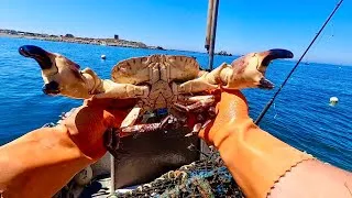 Thumbnail: My One a Year Brown Crab ! Mackerel Fishing and Lobster Pots 
