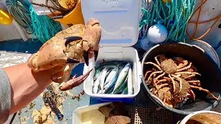 Thumbnail: Setting Up For LOBSTERS ! Commercial Small Boat Fishing