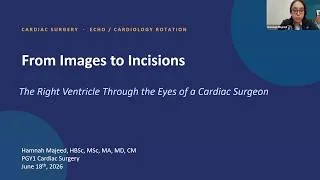 Thumbnail: From Images to Incisions: The Right Ventricle Through the Eyes of a Cardiac Surgeon