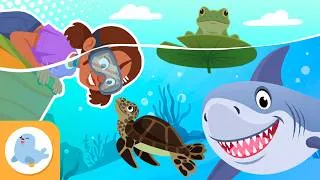 Thumbnail: AQUATIC HABITATS and Their Animals for Kids 🌊🐋 Rivers, Lakes, and Oceans