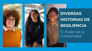 Thumbnail: Diversas Historias de Resiliencia: El Poder de la Comunidad