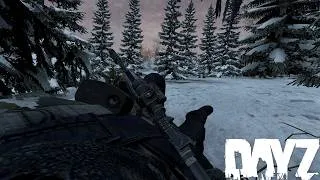 Thumbnail: Whisper In The Dark - DayZ