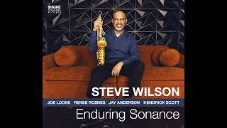 Thumbnail: Steve Wilson "Enduring Sonance" video