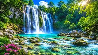Thumbnail: Relaxing Music for Stress Relief 🌴 Calm Music for Meditation, Sleep, Relax, Healing Therapy, Spa