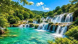 Thumbnail: Relaxing Meditation Music - Bird Sounds, Water Sounds, Stress Relief Music, Deep Sleep Music