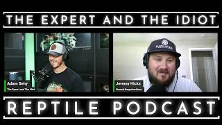 Thumbnail: 135 - Morelia, Brazilian Rainbow Boas, and Bio Security with Jeremy Hicks - The Expert and The Idiot