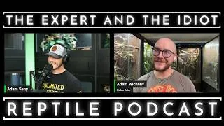 Thumbnail: 134 - Adam Wickens Wicked Return - The Expert and The Idiot - A Reptile Podcast