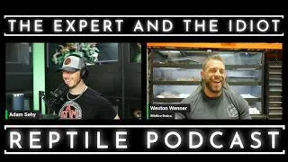Thumbnail: 133 - Breeding GIANT Pythons with Weston Wenner of Wildfire Retics - The Expert and The Idiot