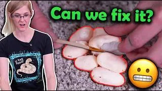 Thumbnail: I Accidentally Broke a Snake Egg! Oh no!