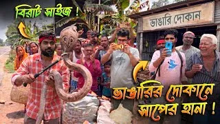 Thumbnail: ভাঙারি দোকানে সাপ দেখে হুলুস্থুল কাণ্ড বেঁধে গেল! পরিচিত কাউকে সাপে কামড়ালে কী করবেন? #information 