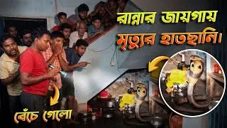 Thumbnail: রুগ্ন সাপ খাবার আশায় হানা দিল রান্না ঘরে! রাতের খাবারের পাশেই বসে গোখরো সাপ! Cobra Rescue #snake 