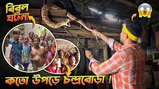 Thumbnail: চন্দ্রবোড়া সাপকে এত উঁচুতে উঠতে আগে দেখিনি! আট ফুট উপরে রাখা জ্বালানির মধ্যে রাসেল ভাইপার! #rescue 