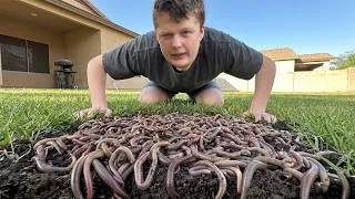 Thumbnail: Our House is Infested With Worms.