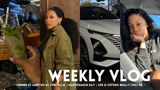 Thumbnail: WEEKLY VLOG : Love this little life | Dinner at Jarryd’s | Maintenance day | South African YouTuber 
