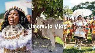 Thumbnail: umemulo kaSni Mhlongo #IsontoLaSni