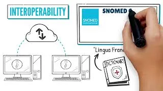 Thumbnail: Was ist SNOMED CT? Eine Whiteboard-Erklärung