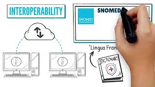 Thumbnail: Qu'est-ce que SNOMED CT: Explication sur tableau blanc