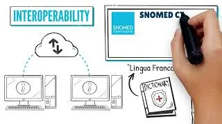 Thumbnail: Cos'è SNOMED CT: una spiegazione illustrata